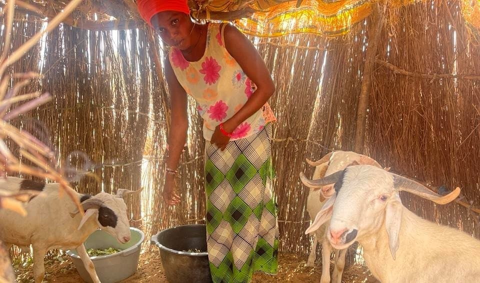 Renforcer le pouvoir d’agir des femmes éleveuses sénégalaises